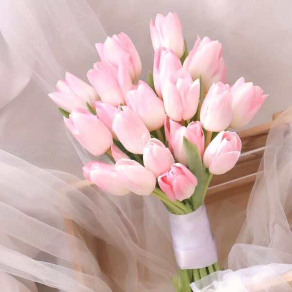 Nàng Thơ Ngày Cưới <br> Hoa Cô Dâu - Ảnh 2